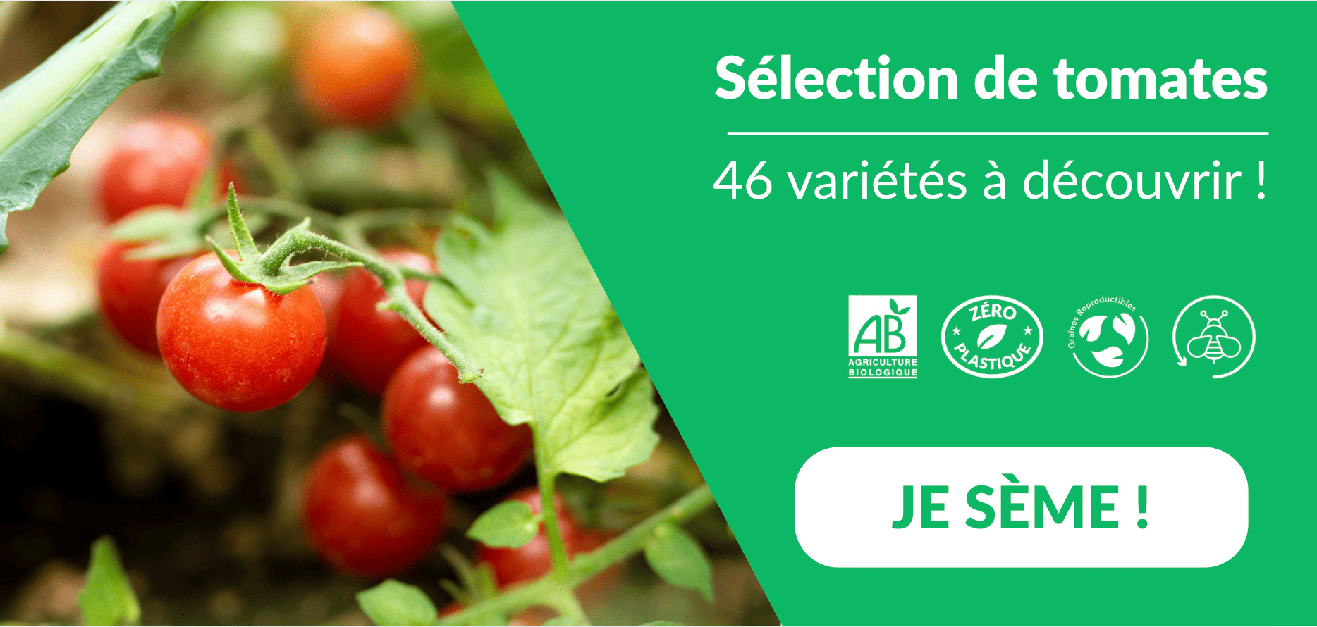 sélection de tomates