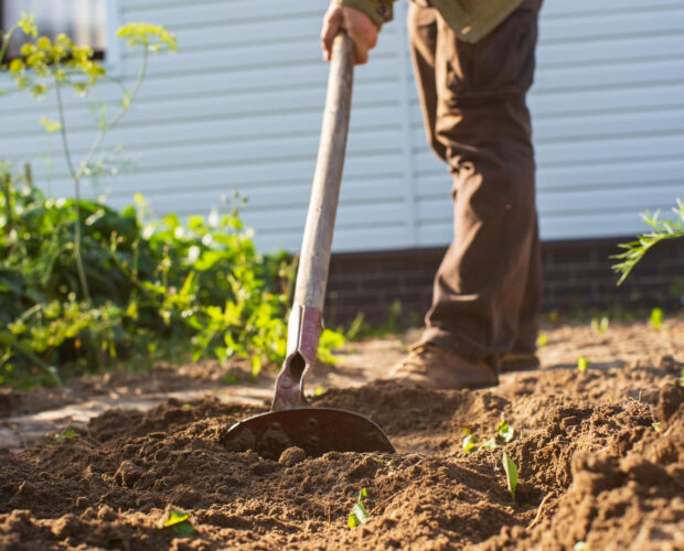 Faut il retourner la terre de son jardin ?