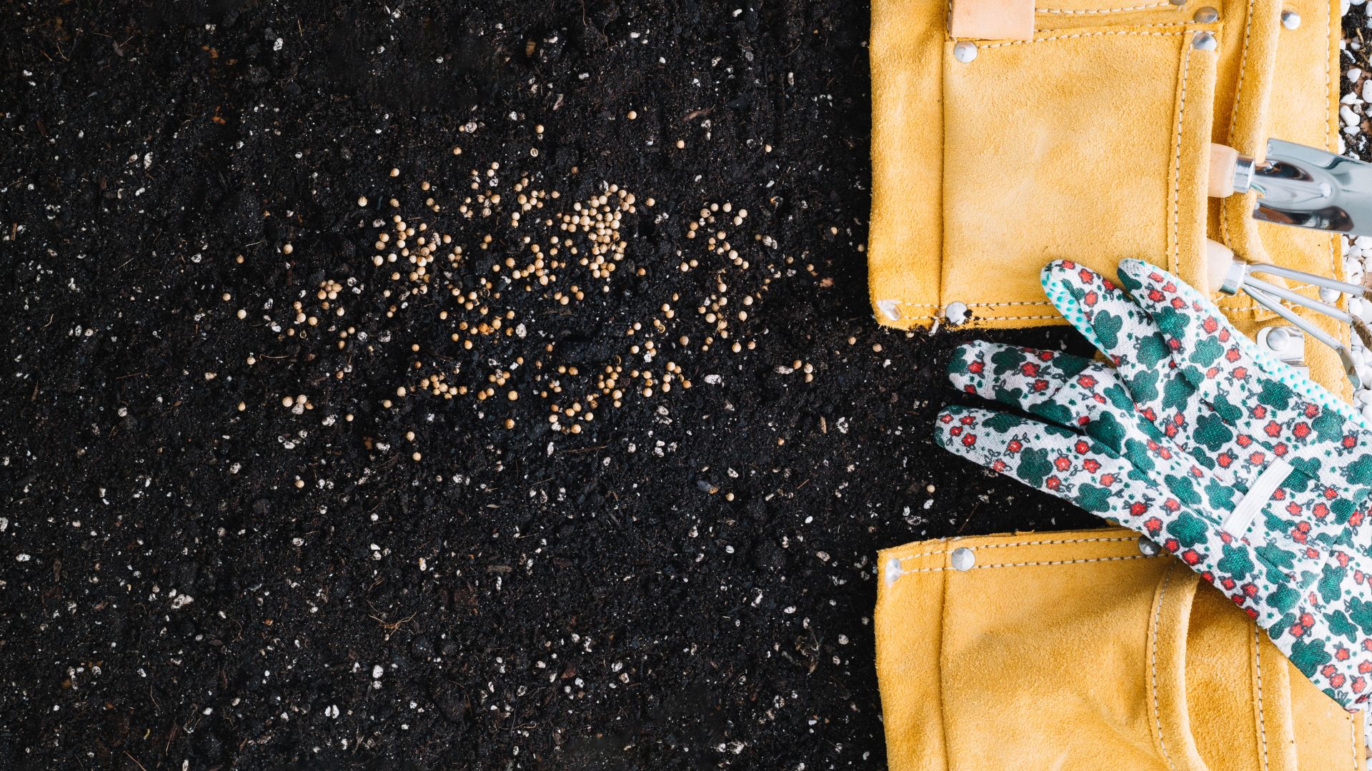 Des gants a côté d'un terreau et de graines