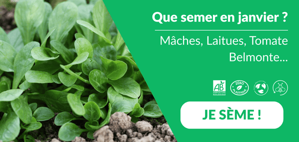 Que semer en janvier