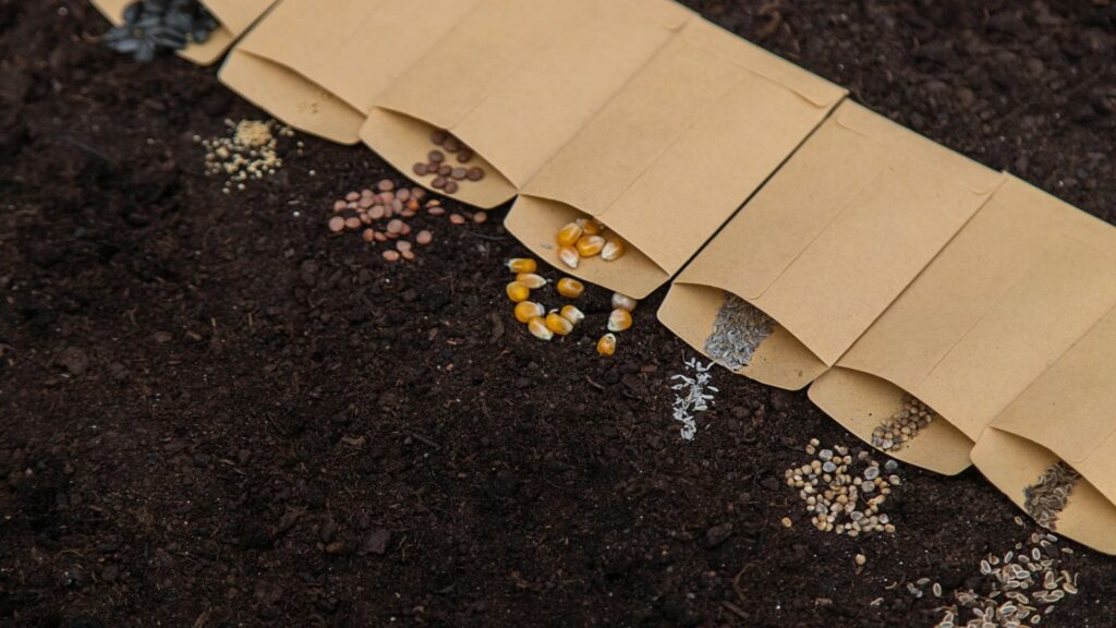 Ou acheter ses semences bio en France