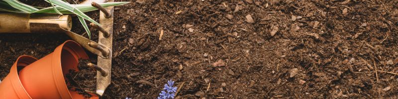 Préparer son sol au potager