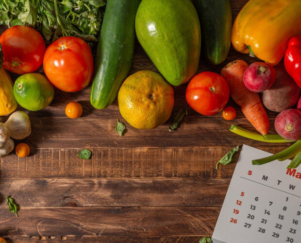 quel mois pour commencer son potager bio