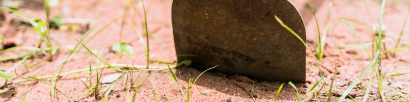 Une beche est posée sur le sol du potager
