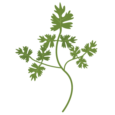 Aromatiques en cuisine