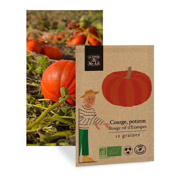 Courge Potiron Rouge vif d'Étampes - Graines Bio et Reproductibles - Dr. Jonquille & Mr. Ail