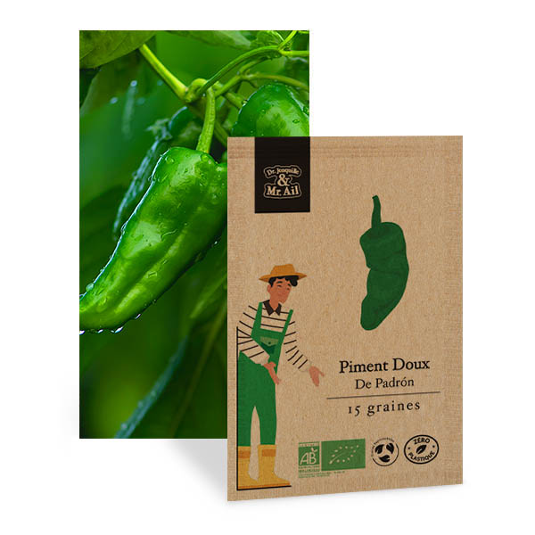 Piment Doux de Padrón - Graines Bio et Reproductibles - Dr. Jonquille & Mr. Ail