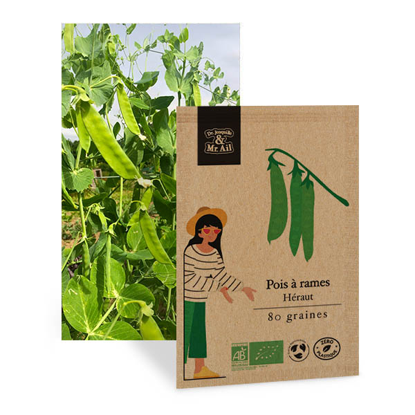 Pois à rames Héraut - Graines Bio et Reproductibles - Dr. Jonquille & Mr. Ail