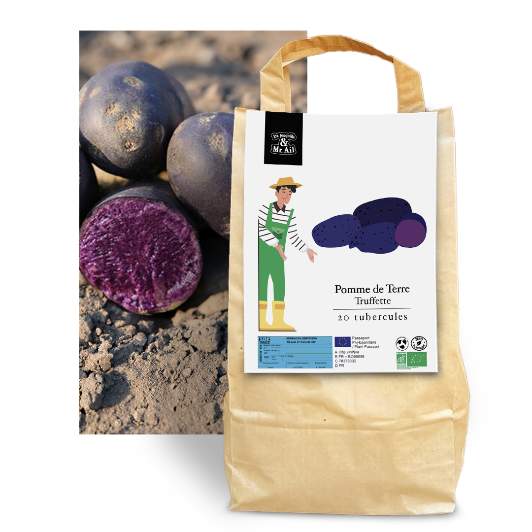 Pomme de terre Truffette - Graines Bio et Reproductibles - Dr. Jonquille & Mr. Ail