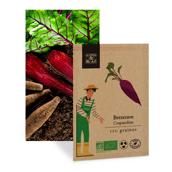 Betterave Crapaudine -Graines Bio et Reproductibles - Dr. Jonquille & Mr. Ail