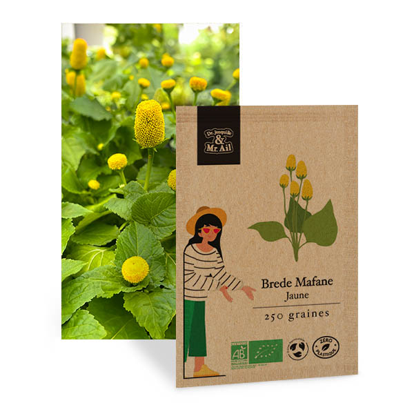 Brede Mafane Jaune Graines Bio et Reproductibles - Dr. Jonquille & Mr. Ail