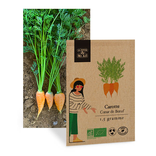 Carotte Cœur de Bœuf - Graines Bio et Reproductibles - Dr. Jonquille & Mr. Ail