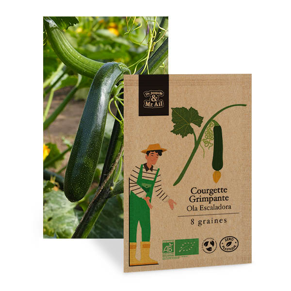Courgette Grimpante Ola Escaladora - Graines Bio et Reproductibles - Dr. Jonquille & Mr. Ail