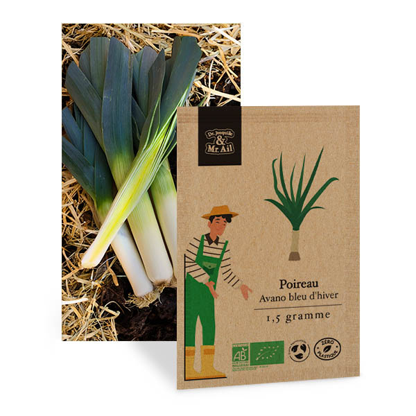 Poireau Avano bleu d'hiver - Graines Bio et Reproductibles - Dr. Jonquille & Mr. Ail