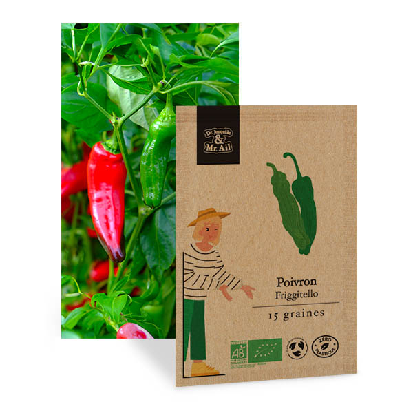 Poivron Friggitello - Graines Bio et Reproductibles - Dr. Jonquille & Mr. Ail