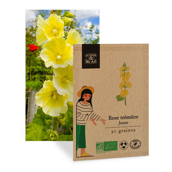 Rose trémière Jaune - Graines Bio et Reproductibles - Dr. Jonquille & Mr. Ail