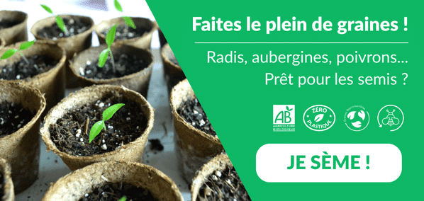 La saison des semis commence bientôt