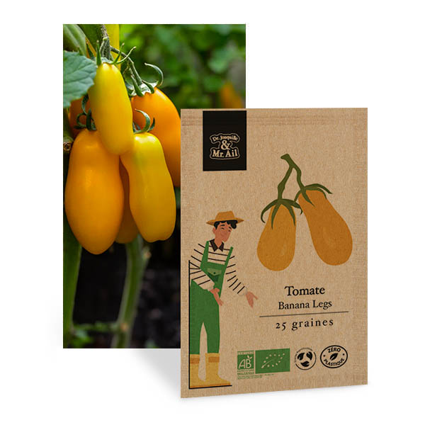 Tomate Banana Legs - Graines Bio et Reproductibles - Dr. Jonquille & Mr. Ail