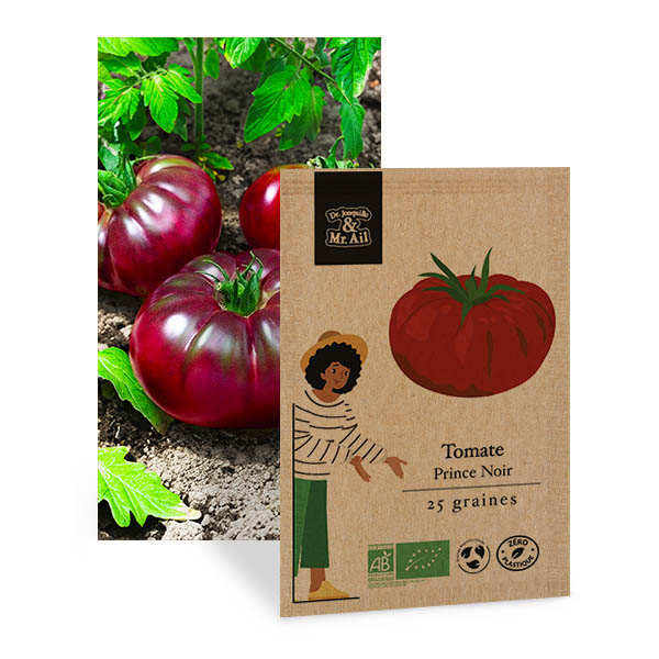 Tomate Prince Noir - Graines Bio et Reproductibles - Dr. Jonquille & Mr. Ail