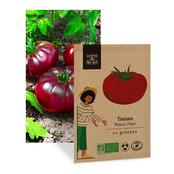 Tomate Prince Noir - Graines Bio et Reproductibles - Dr. Jonquille & Mr. Ail