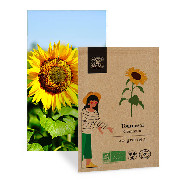 Tournesol Commun - Graines Bio et Reproductibles - Dr. Jonquille & Mr. Ail