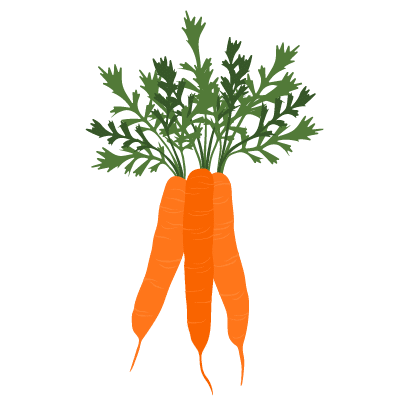 Carottes