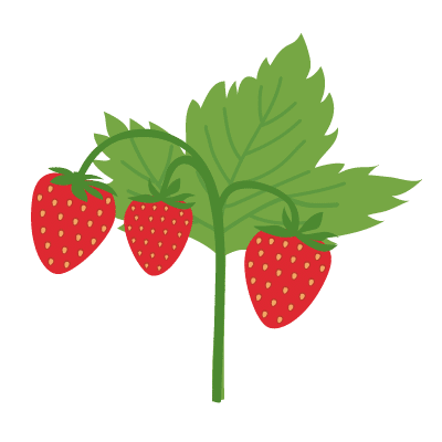 Fraises