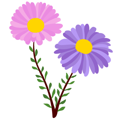 Marguerites
