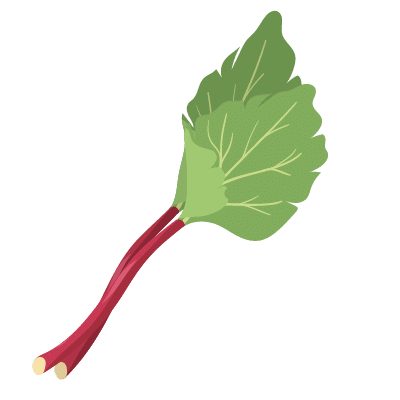 Rhubarbes