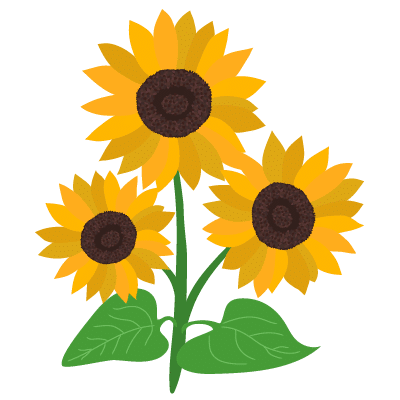Tournesols