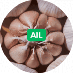 Ail - Semences Bio et Reproductibles - Dr. Jonquille & Mr. Ail