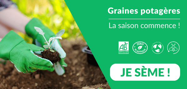 Graines potagères - HP rectangulaire Graines potagères - Graines Bio et Reproductibles - Dr. Jonquille & Mr. Ail