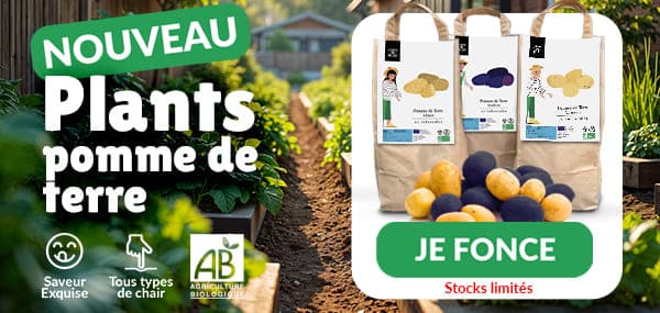 Pommes de terre - Graines Bio et Reproductibles - Dr. Jonquille & Mr. Ail