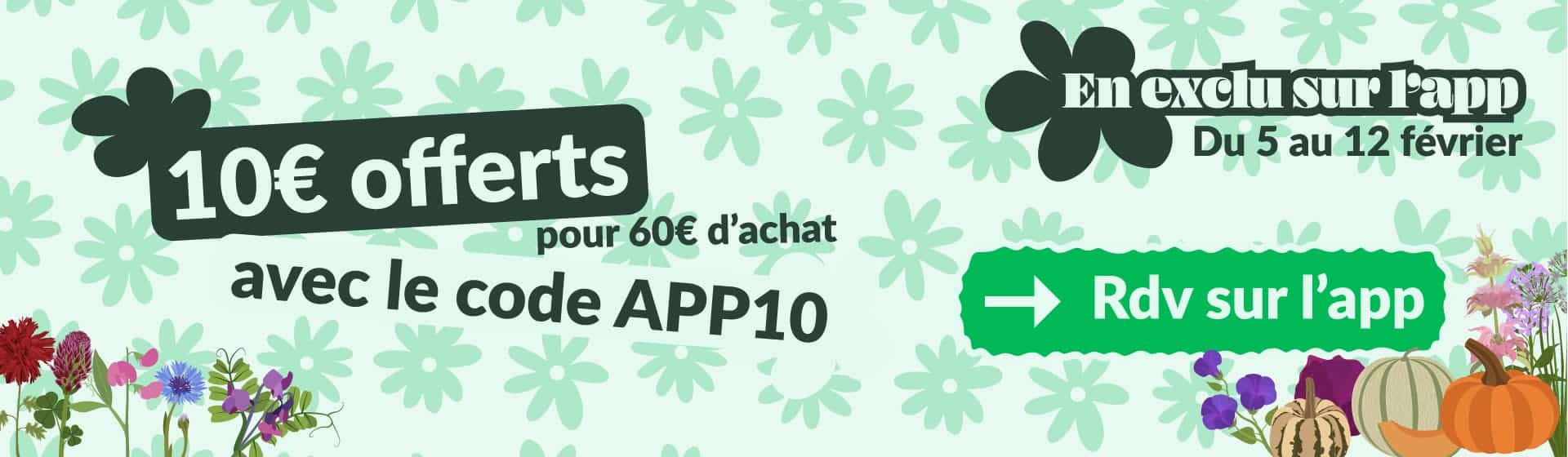 Offre appli - Graines Bio et Reproductibles - Dr. Jonquille & Mr. Ail