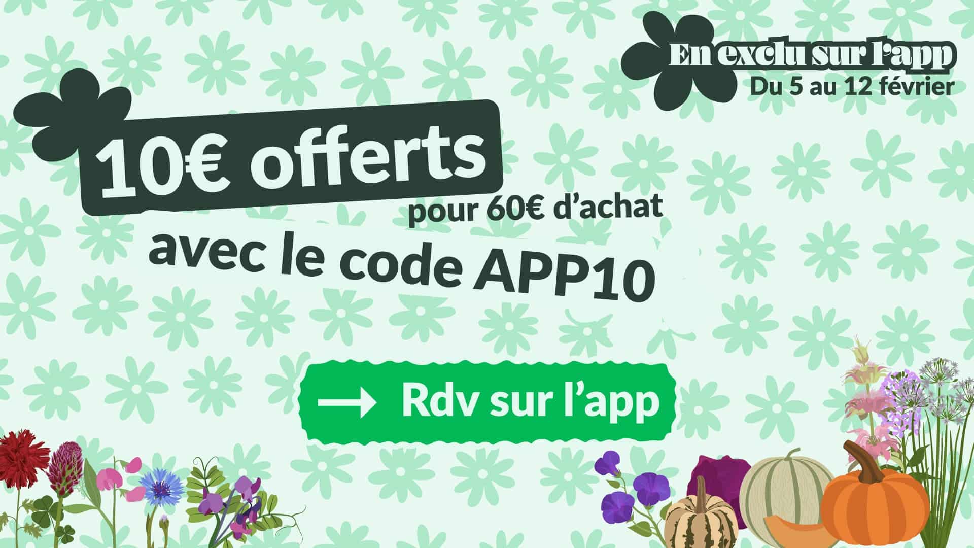 Offre appli - Graines Bio et Reproductibles - Dr. Jonquille & Mr. Ail