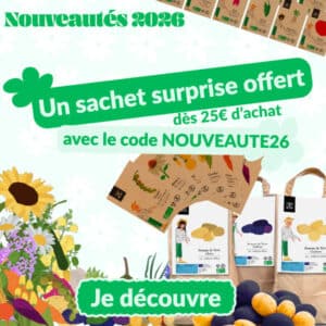 Nouvelles variétés 2026 - Semences Bio et Reproductibles - Dr. Jonquille & Mr. Ail