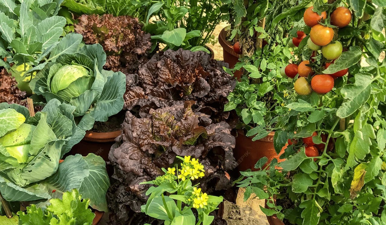 diversité des jardins diversité végétale des jardins