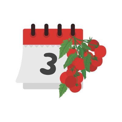 Calendrier des semis