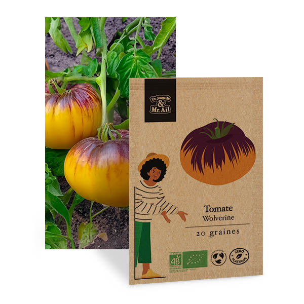 Tomate wolverine - graines bio et reproductibles