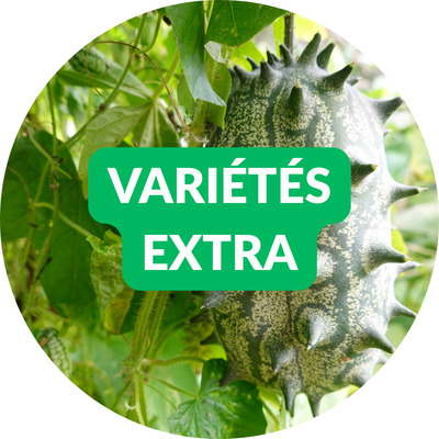 Sélection de variétés extraordinaires