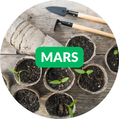 Bulle - calendrier mars Que semer en mars ?