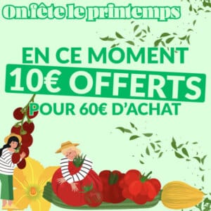 On fête le printemps : 10€ offerts pour 60€ d'achat
