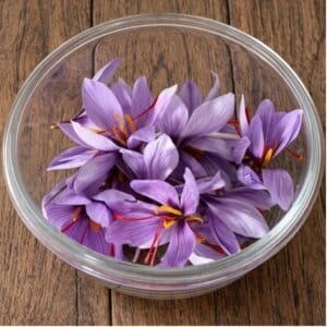 fleurs de safran fraîchement récoltées dans un bol