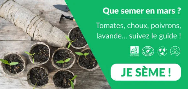 Que semer en mars ? Calendrier des semis DJMA