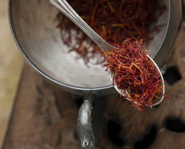 Rendement du safran : combien de bulbes planter au jardin