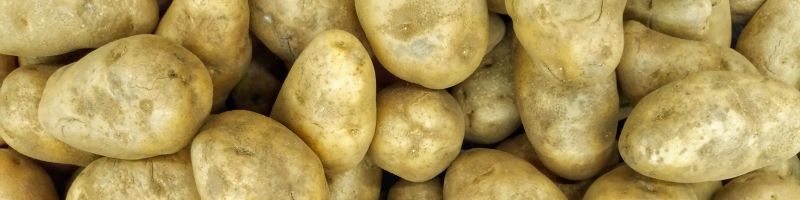 vue-rapprochée-pommes-de-terre-bio Vue rapprochée d'un tas de pommes de terre bio