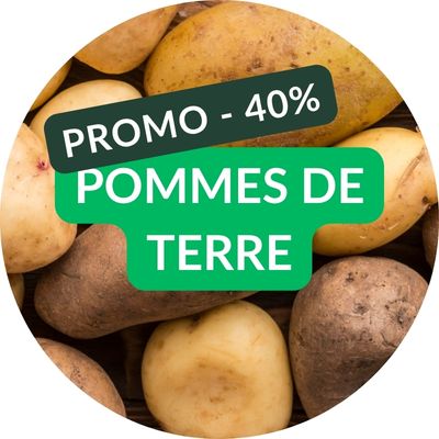 Bulle HP - PDT Pommes de terre DJMA
