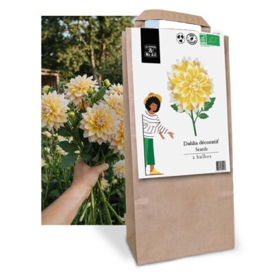 Dahlia Seatlle - Graines Bio et Reproductibles - Dr. Jonquille & Mr. Ail