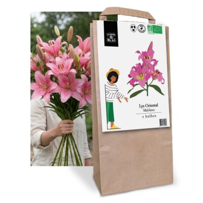 Lys Maldano - Graines Bio et Reproductibles - Dr. Jonquille & Mr. Ail