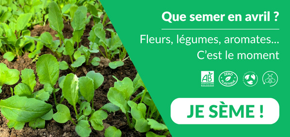 Que semer en avril Que semer en avril ? plants de légumes